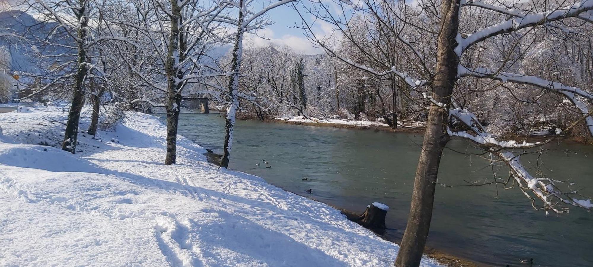 Gorska Kuca Elin Villa Brod na Kupi Exteriör bild